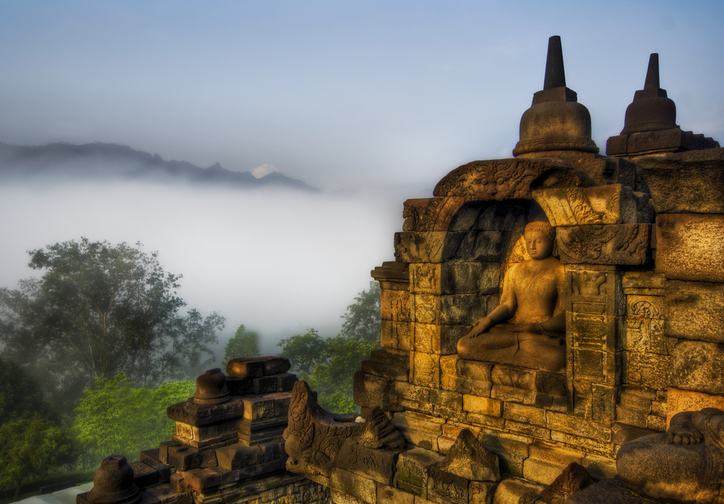 Buddha in the Jungle Highlands