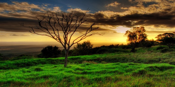 South Africa Safari. Photo Credit slack12. 