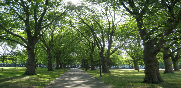 London Fields Park