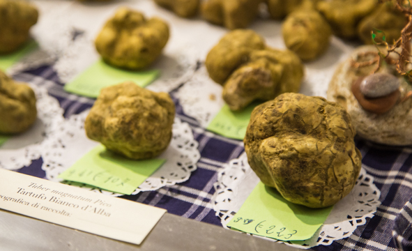 White truffles for sale at Alba's annual white truffle festival (Photo: Chris Allsop)
