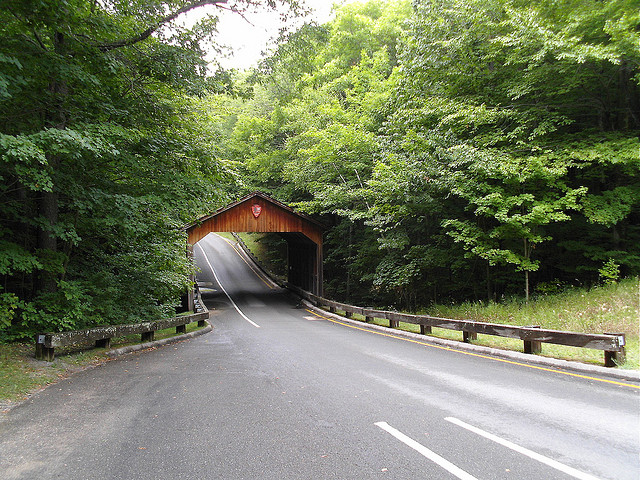 Pierce Stocking scenic drive (Photo: Kim2137 via Flickr)