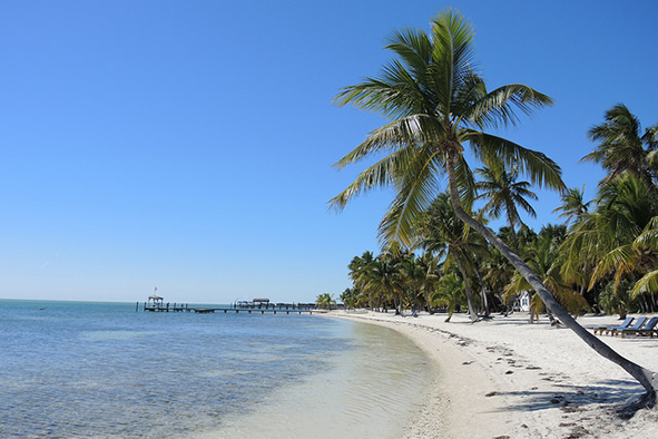 The beach at Islamorada (Photo: Pietro Valocchi via Flickr)