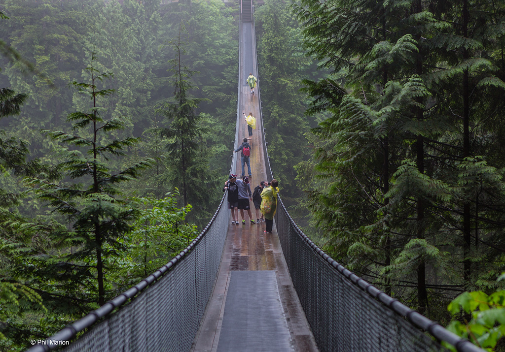 The Capilano Suspension Bridge & Park