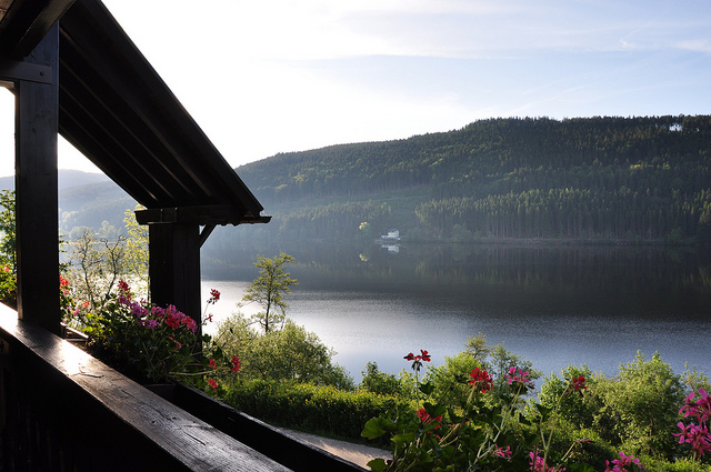 Lake Titisee - Black Forest (Photo: shafas via Flickr)