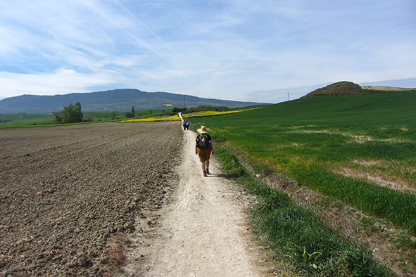 A typical Camino vista (Photo: Chris Newens)