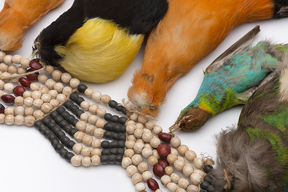 Necklace of bird pendants from Bolivia (Photo: President and Fellows of Harvard College Peabody Museum of Archaeology and Ethnology)