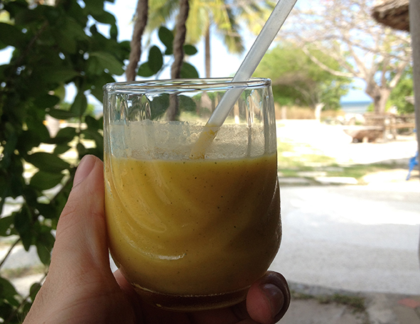 The taste of paradise - fresh fruit smoothies (Photo: Dan Ayres)