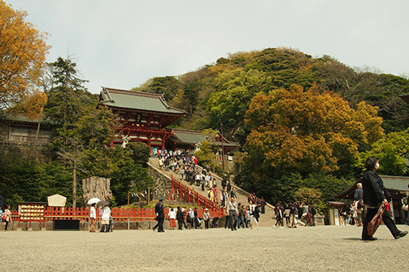 Tsurugaoka Hachimangu Shrine (Photo: itchys via Flickr)