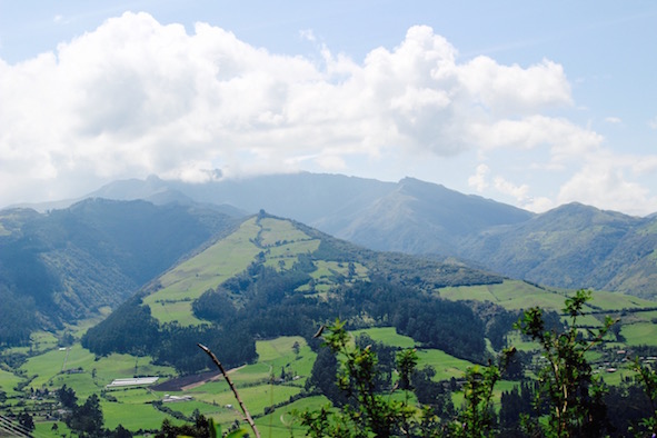 The Andean foothills (Photo: Tracy Kaler)