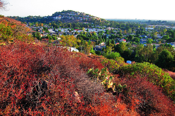 The residential hills in East Orange (Photo: Paul Vincent via Flickr)