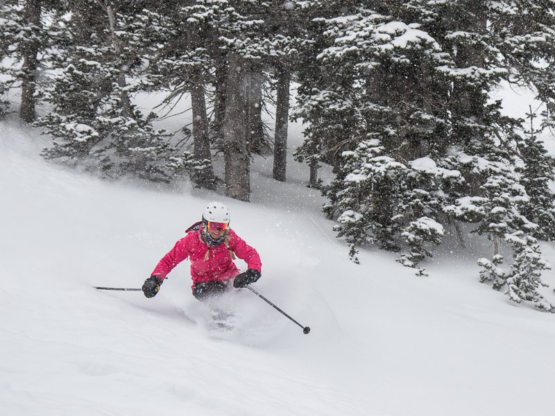 Alta Ski Area