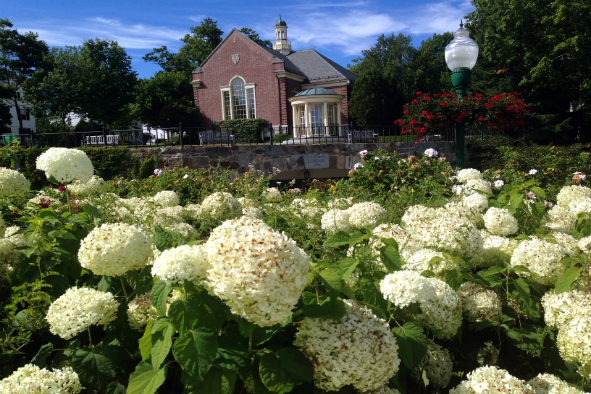 The Camden Public Library as seen from Harbor Park (Photo: Janine Weisman)