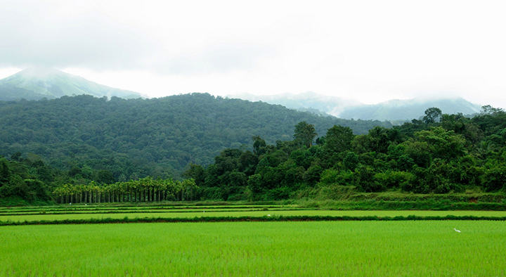 Coorg Countryside (Photo: -Reji via Flickr)