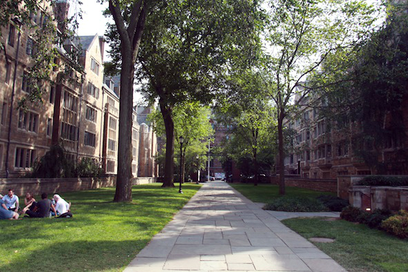 The grass lawns in front of the Sterling Memorial Library are popular with Yale students, who can often be found studying, chatting with friends or eating lunch in the shade of the elms (Photo: Leonie Shanks) 