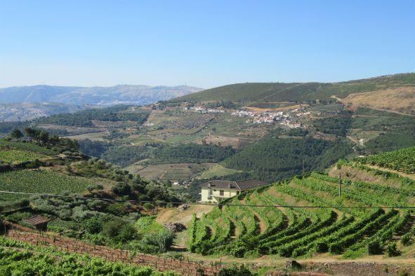 View from Provesende town square (Photo: Mike Dunphy)