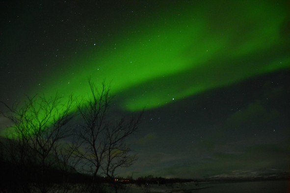 Aurora borealis, Abisko National Park (Photo: Rodrigo Kleinert) 