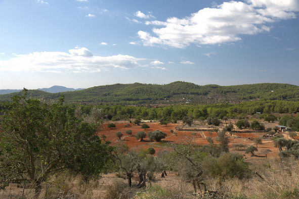 The Ibiza countryside (Photo: Yashima via Flickr)