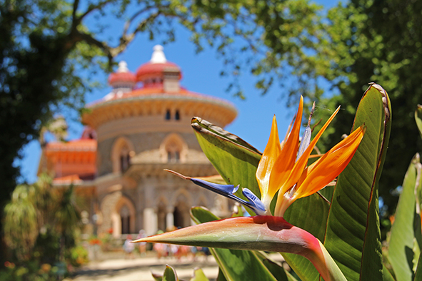 Gardens outside the Palace of Monserrate in Sintra (Photo: Paul Stafford)