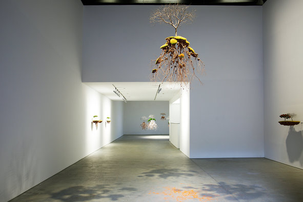 Inside Richard Taittinger Gallery (Photo: Richard Taittinger Gallery) 