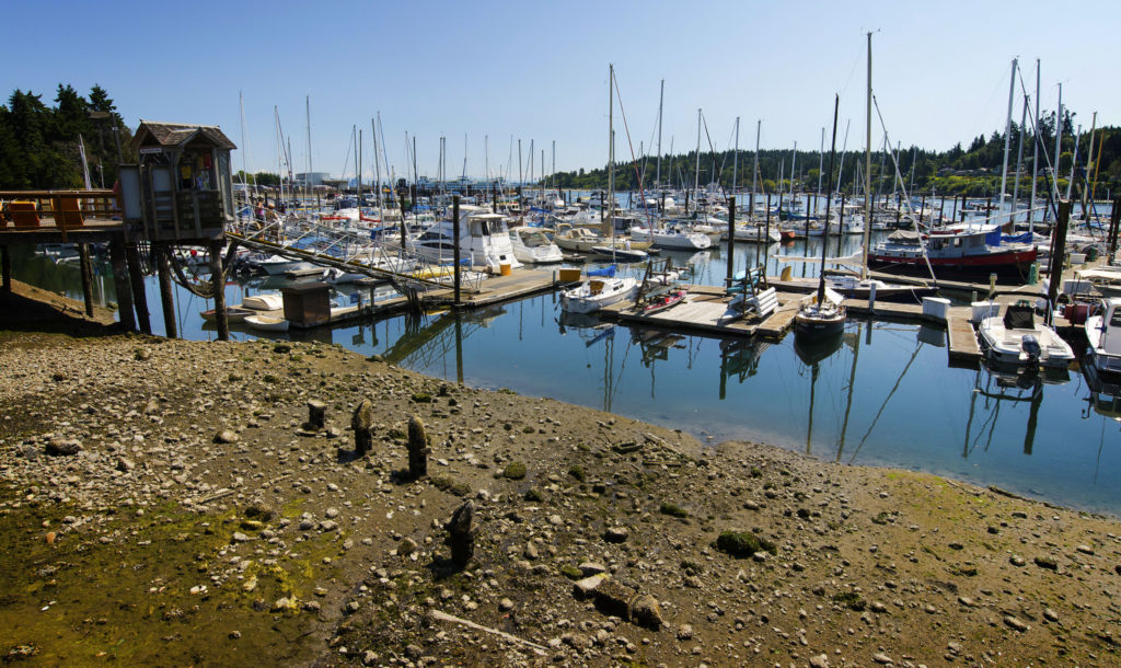 Bainbridge Island (Photo: Dang Nguyen via Flickr