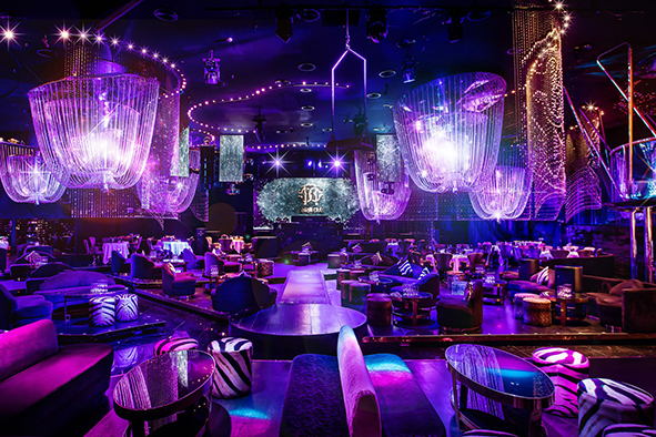 Interior of the Cavalli Club (Photo: Cavalli Club)