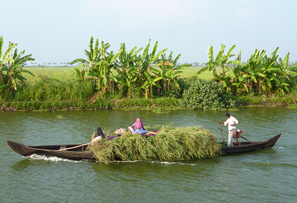 Locals at work on the Keralan Backwaters (Photo: Maria Hagan)