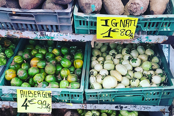 Togo Exotique (Photo: Akil Wingate)