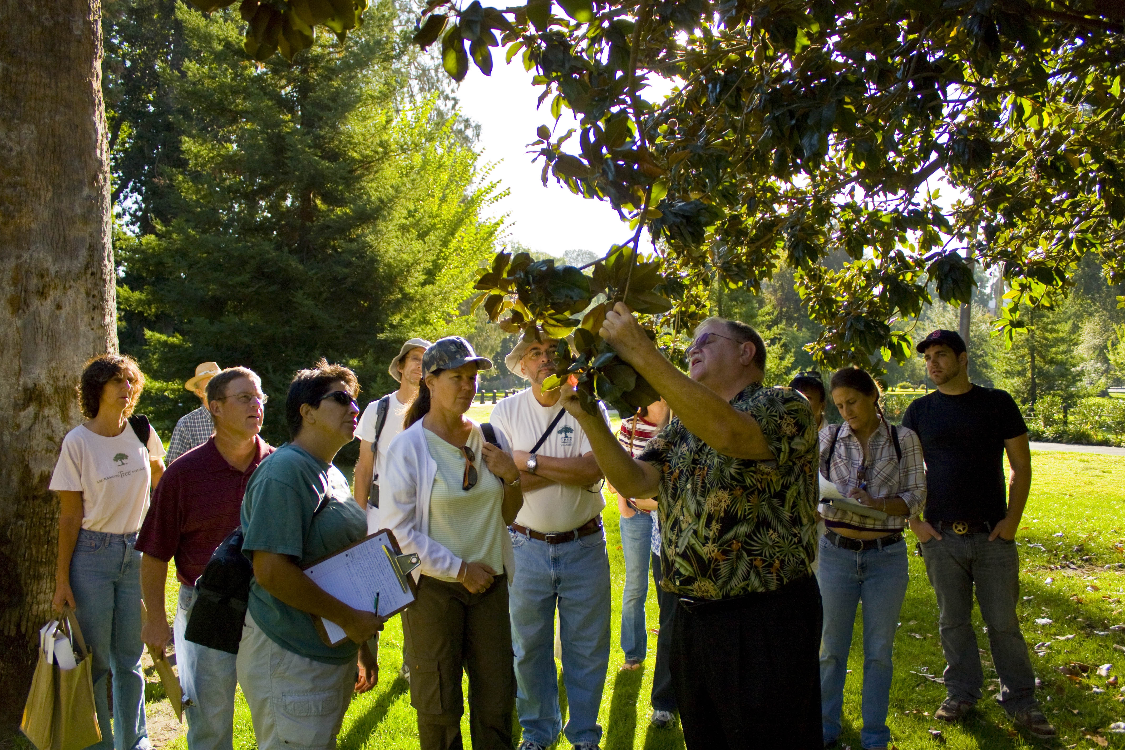 Guided tree tour