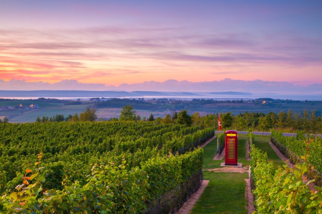 annapolis valley, things to do in nova scotia, wine regions in canada