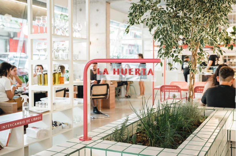 Fresh herbs from Flora Café's indoor garden in Montevideo