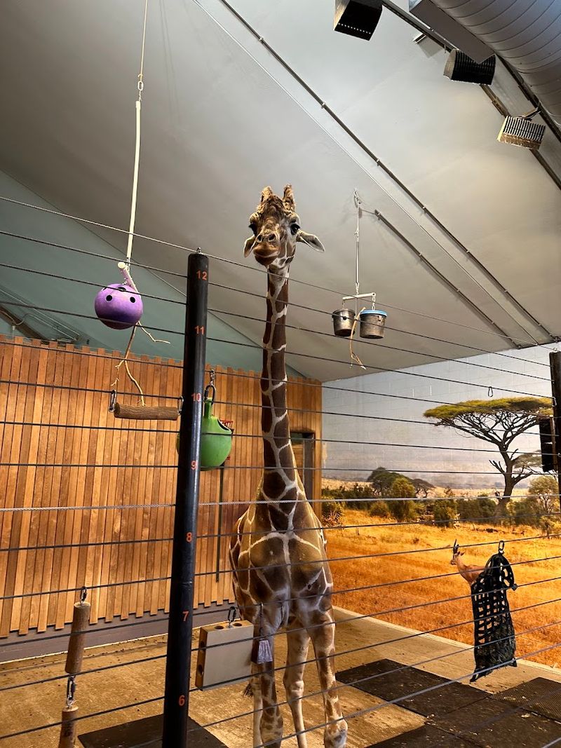 Como Park Zoo & Conservatory