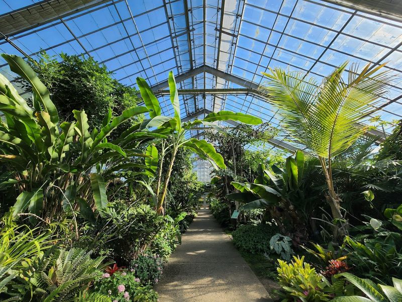 Matthaei Botanical Gardens