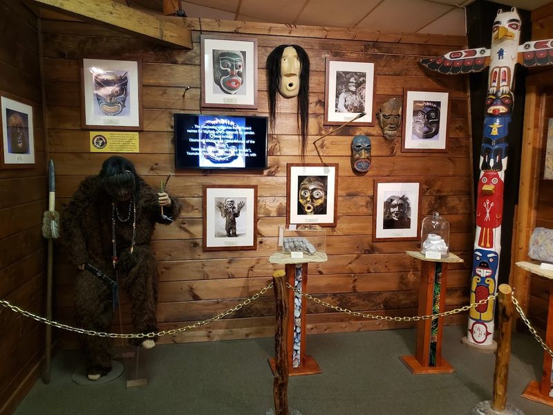 How The Exhibits Are Organized Throughout The Space