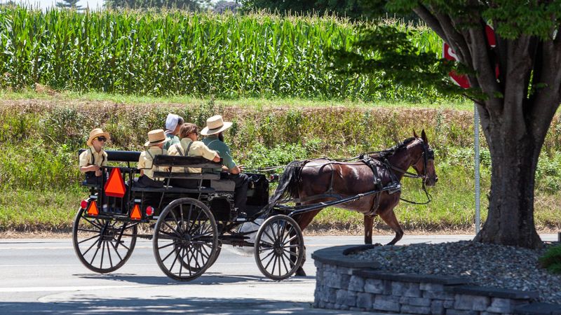 A First Look At Timeless Pennsylvania Amish Life