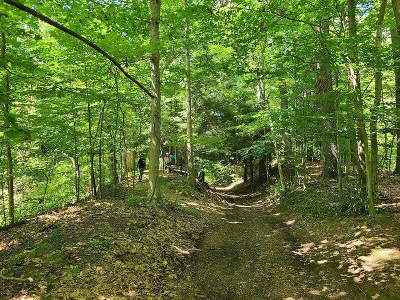 Meandering Trails Through Nature And Art