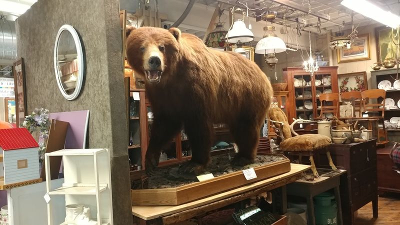 Three Floors Of Pure Exploration