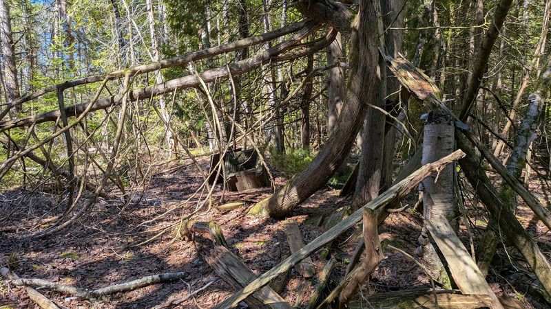 A Walk Through Living History