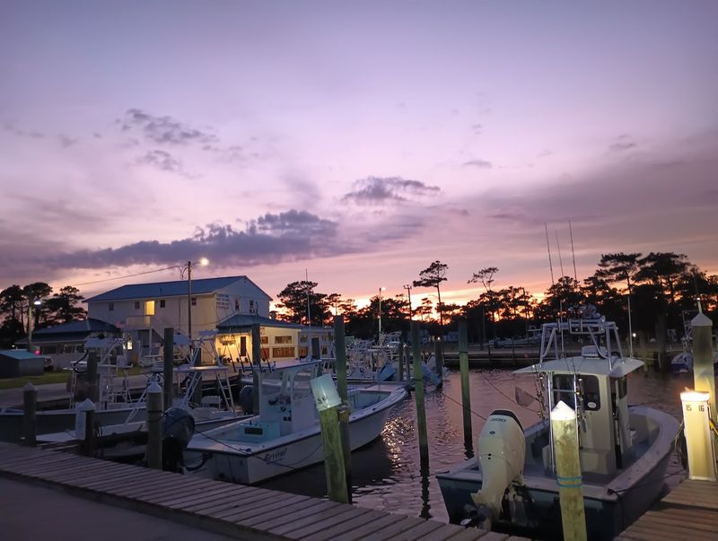 The Sound That Surrounds Everything