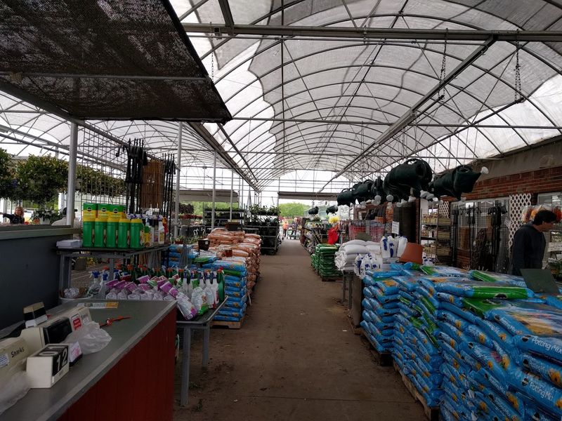 The Cash-Only Policy That Sets The Tone