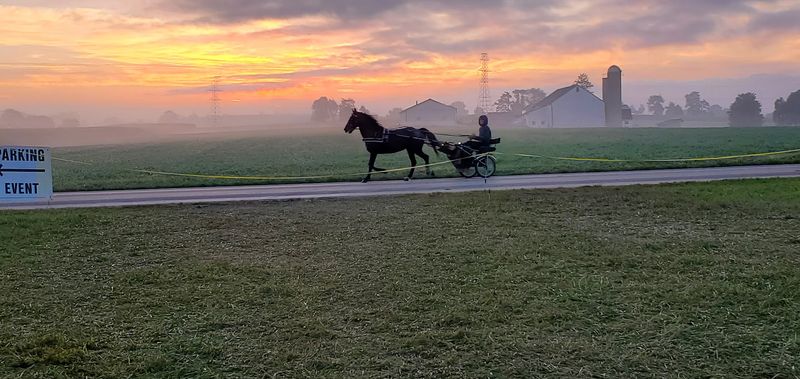 Horse-Drawn Buggies And Quiet Country Roads