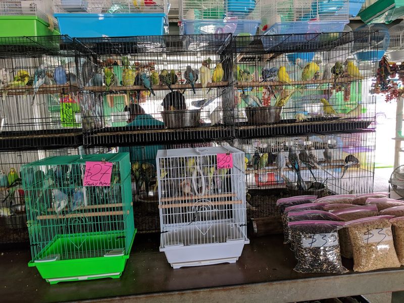 The Story Behind This Beloved Brownsville Spot