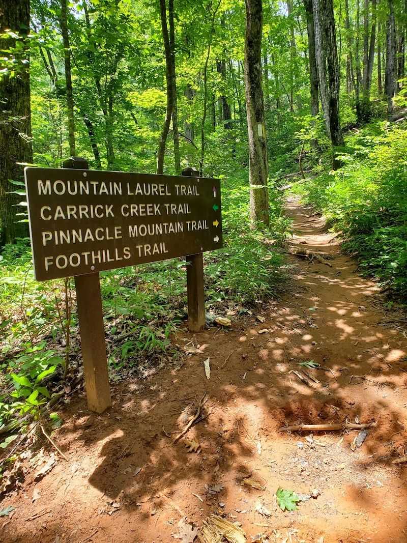 Meandering Trails Where Magic Hides Around Every Turn