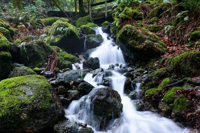 Why This Trail Stands Out In A State Full Of Great Hikes