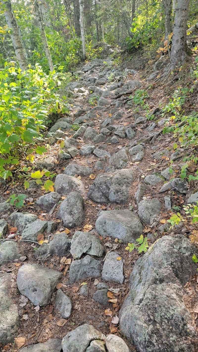 Where The Trail Begins And What To Expect