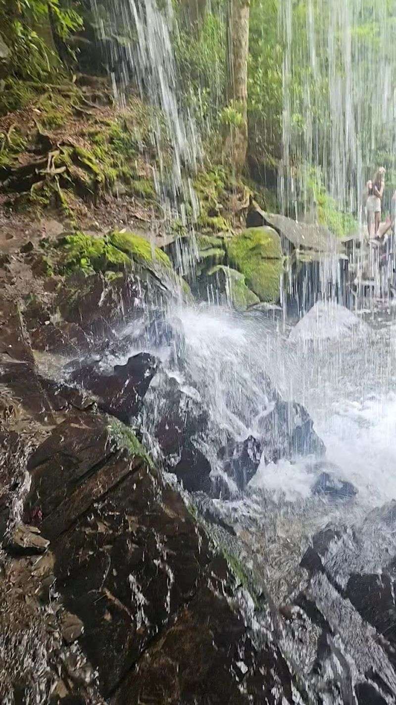 Waterfalls That Keep Appearing Along The Way