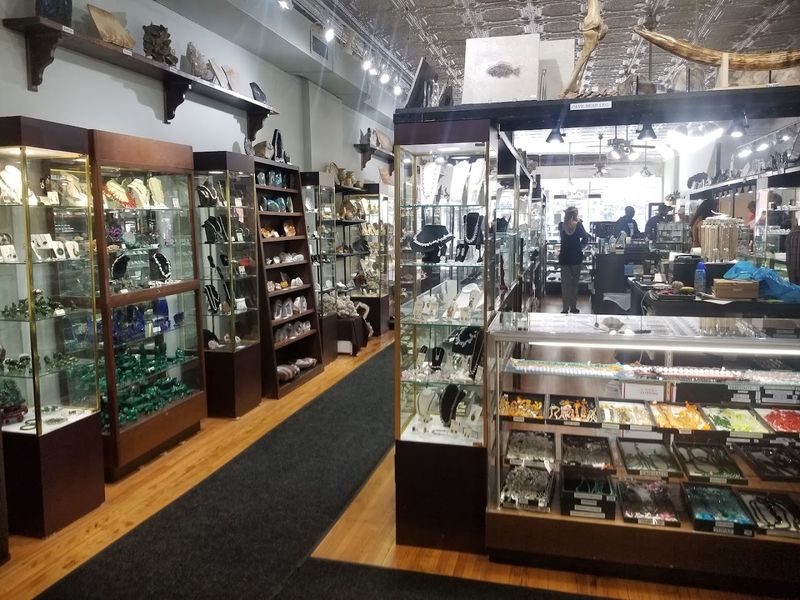 Fossils, Minerals, And Ancient Bones On Display Together