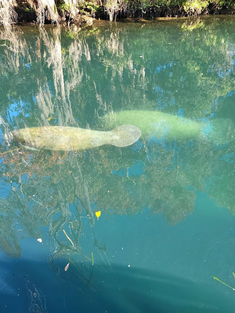 The Cost Of Living Compared To Other States