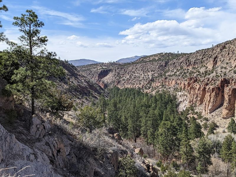 Scenery That Never Plays Second Fiddle