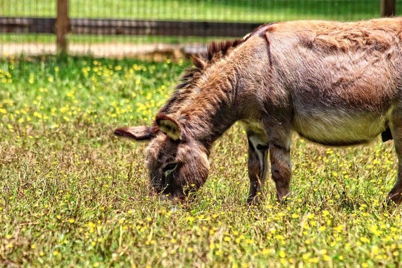 Why This Sanctuary Is More Than A Stop On The Map