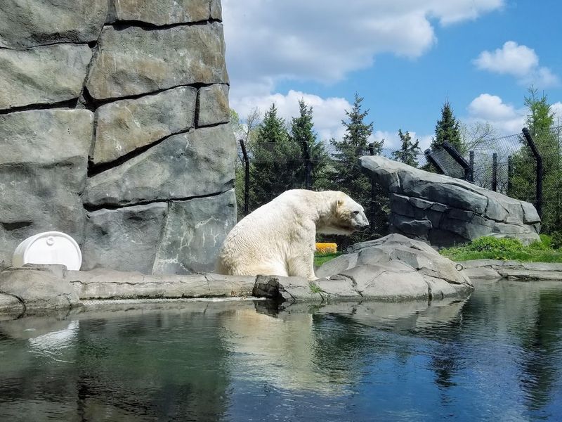 The Conservatory That Feels Like Another World